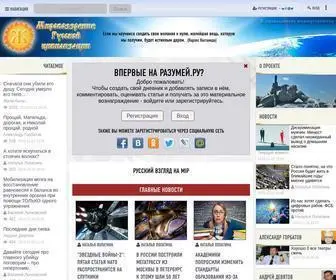Razumei.ru(Мировоззрение Русской цивилизации) Screenshot