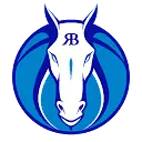 RBbroncoball.com Favicon