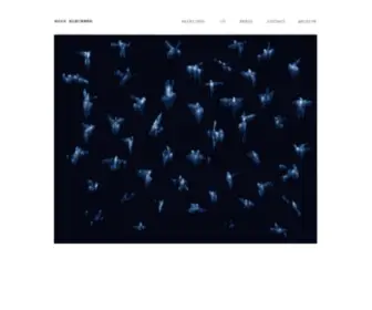 Rbleckner.com(ROSS BLECKNER) Screenshot