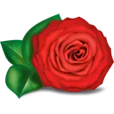 Rcvapesters.com Favicon