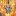 Rcwilkinson.com Favicon