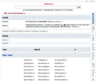 Rea2QZF9GE.cn(用友贵州分公司) Screenshot