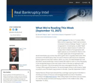 Realbankruptcyintel.com(Real Bankruptcy Intel by Mayer Brown) Screenshot