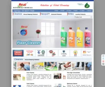 Realcleaner.com(Real Cleaners) Screenshot