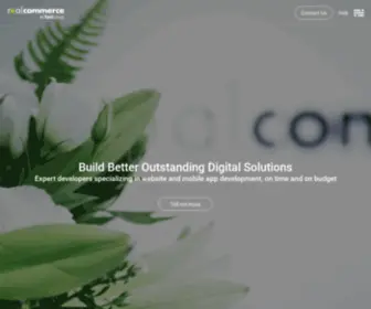 Realcommerce.com(Stratergy) Screenshot