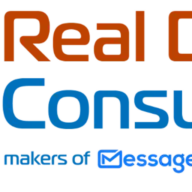 Realdataconsulting.com Logo