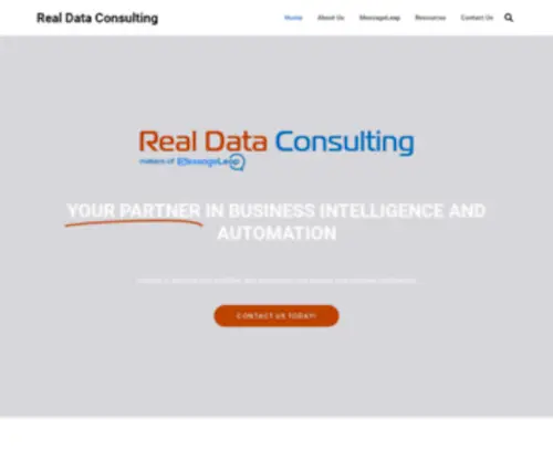 Realdataconsulting.com(Real Data Consulting) Screenshot