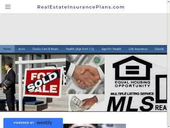 Realestateinsuranceplans.com(Insurance for the Real Estate Professionals) Screenshot