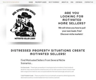 Realestateleaddawgs.com(Motivated Home Seller Leads For Real Estate Agents And Investors) Screenshot