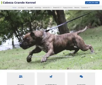 Realpresa.com(Cabeza Grande Kennel) Screenshot
