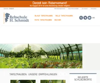 Rebschule-SChmidt.de(Rebschule Schmidt) Screenshot