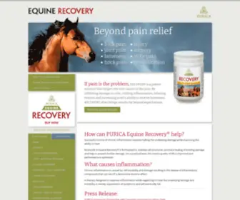 Recoveryeq.com(Benefits of Recovery EQ) Screenshot