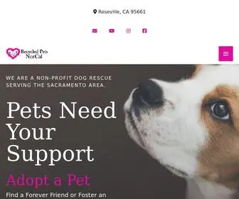 Recycledpetsnorcal.org(Recycled Pets NorCal) Screenshot