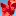 Redcapereset.com Favicon