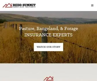 Reddsummit.com(Redd Summit Advisors) Screenshot