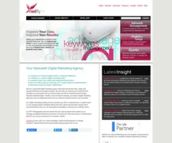 Redflymarketing.com(Digital Marketing Agency) Screenshot