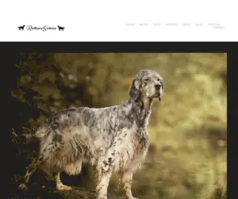 Redhara.com(English Setter UK) Screenshot