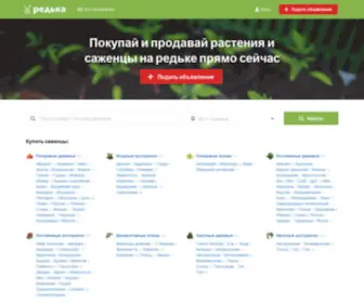 Redka.com.ua(Редька) Screenshot