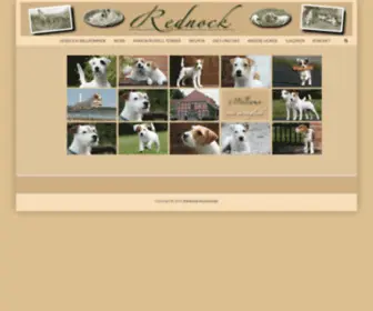 Rednock.com(Rednock) Screenshot