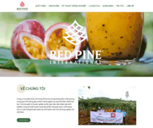 Redpineinternational.vn(RED PINE INTERNATIONAL COMPANY) Screenshot
