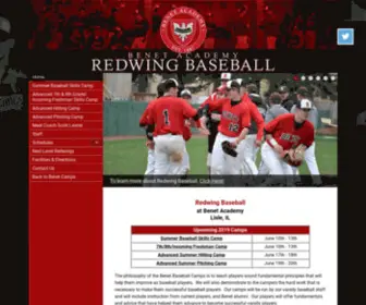 Redwingbaseball.com(Redwingbaseball) Screenshot