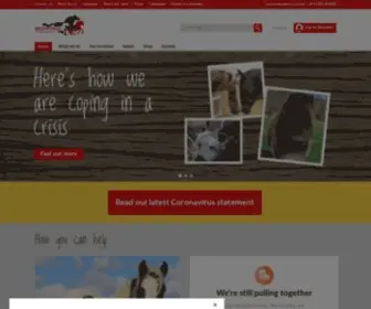Redwings.org.uk(Redwings Horse Sanctuary and Equine Veterinary Centre) Screenshot