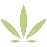 Redwoodmj.com Favicon