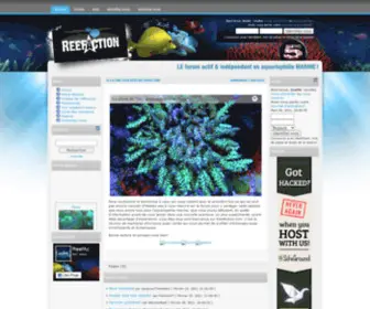 Reefaction.com(Un aquarium d'eau salée à votre portée) Screenshot