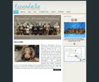 Reevesdachs.com(Reevesdachs Miniature Dachshunds) Screenshot