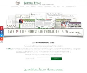 Reformstead.com(On the homestead there is always a never) Screenshot