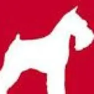 Regencyxcl.com Logo