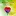 Reginacho.com Favicon