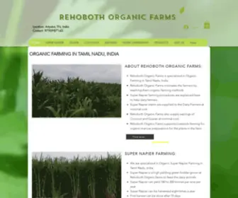 RehobothorganicFarms.com(Rehoboth Organic Farms) Screenshot