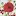 Rememberingmaggielane.com Favicon