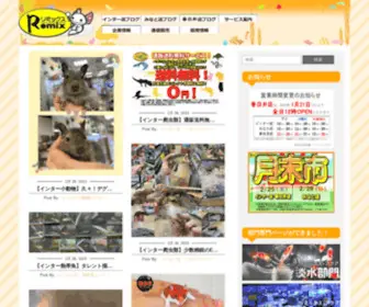 Remix-Net.co.jp(名古屋のペットショップ) Screenshot