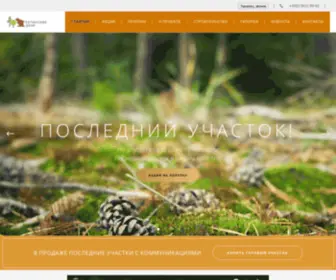 Repinodacha.ru(Советы по строительству дома и дачи) Screenshot