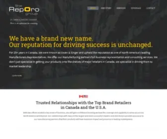 Reporogroup.com(Owen & SInger Inc) Screenshot