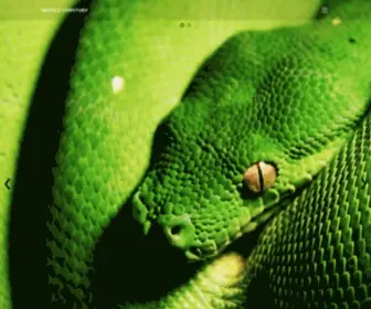 Reptileterritory.com.au(Buy a Snake and other Reptiles) Screenshot