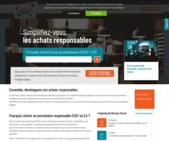 Reseau-Gesat.com(Réseau Gesat) Screenshot