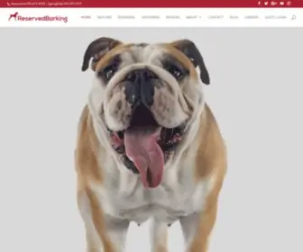 Reservedbarking.com(Doggy Day Care) Screenshot