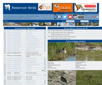 Reservoirbirds.com(Reservoir Birds) Screenshot