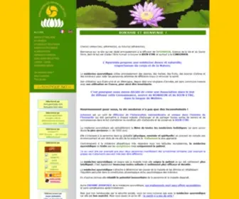 Rester-EN-Bonne-Sante.com(Site de l'association SANTE ET BIEN) Screenshot