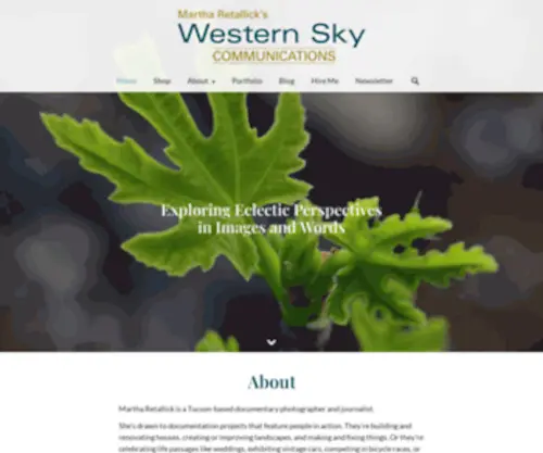 Retallick.com(Western Sky Communications) Screenshot