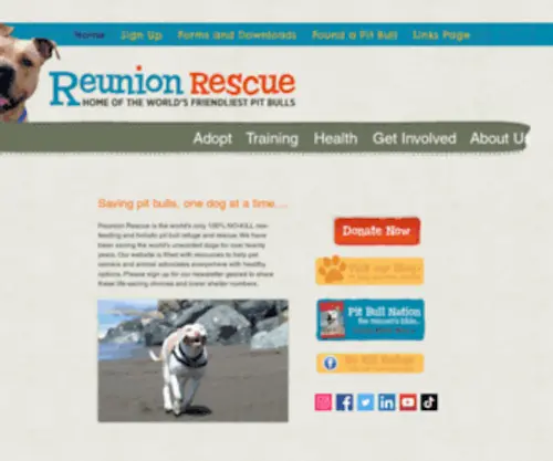 Reunionrescue.com(Reunion Rescue has been saving dogs from high kill shelters for nearly 25 years) Screenshot