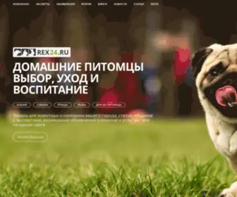 Rex24.ru(домашние) Screenshot
