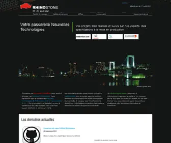Rhinostone.com(Audit, conseil et référencement dans les nouvelles technologies) Screenshot