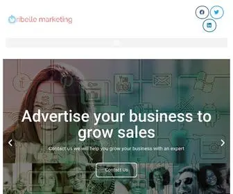 Ribelle.marketing(Ribelle Marketing is a Leading Digital Advertising Agency) Screenshot