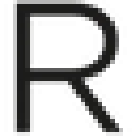 Ribotgallery.com Logo