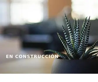 Ricardocarvajal.com(Construcción) Screenshot