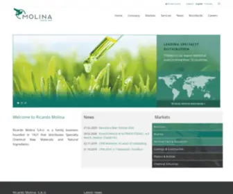 Ricardomolina.com(Ricardo Molina) Screenshot